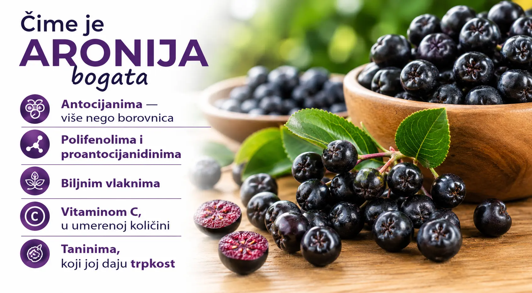Čime je aronija bogata — antocijani, polifenoli i proantocijanidini, biljna vlakna, vitamin C u umerenoj količini i tanini